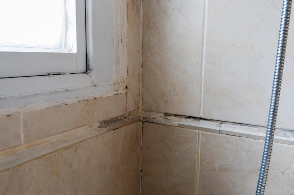 Dégâts humidité salle de bain Fréjus Var — diagnostic avant travaux artisan 83